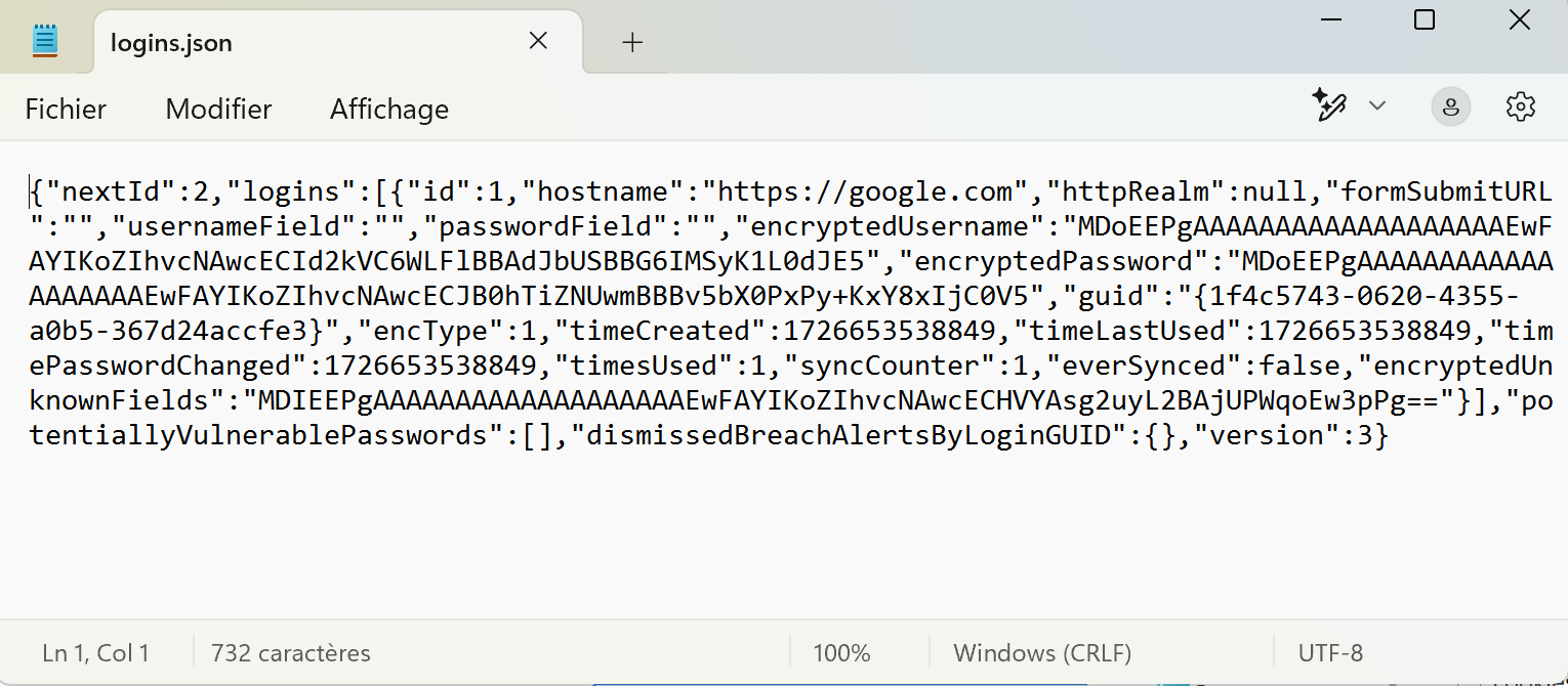 logins.json example